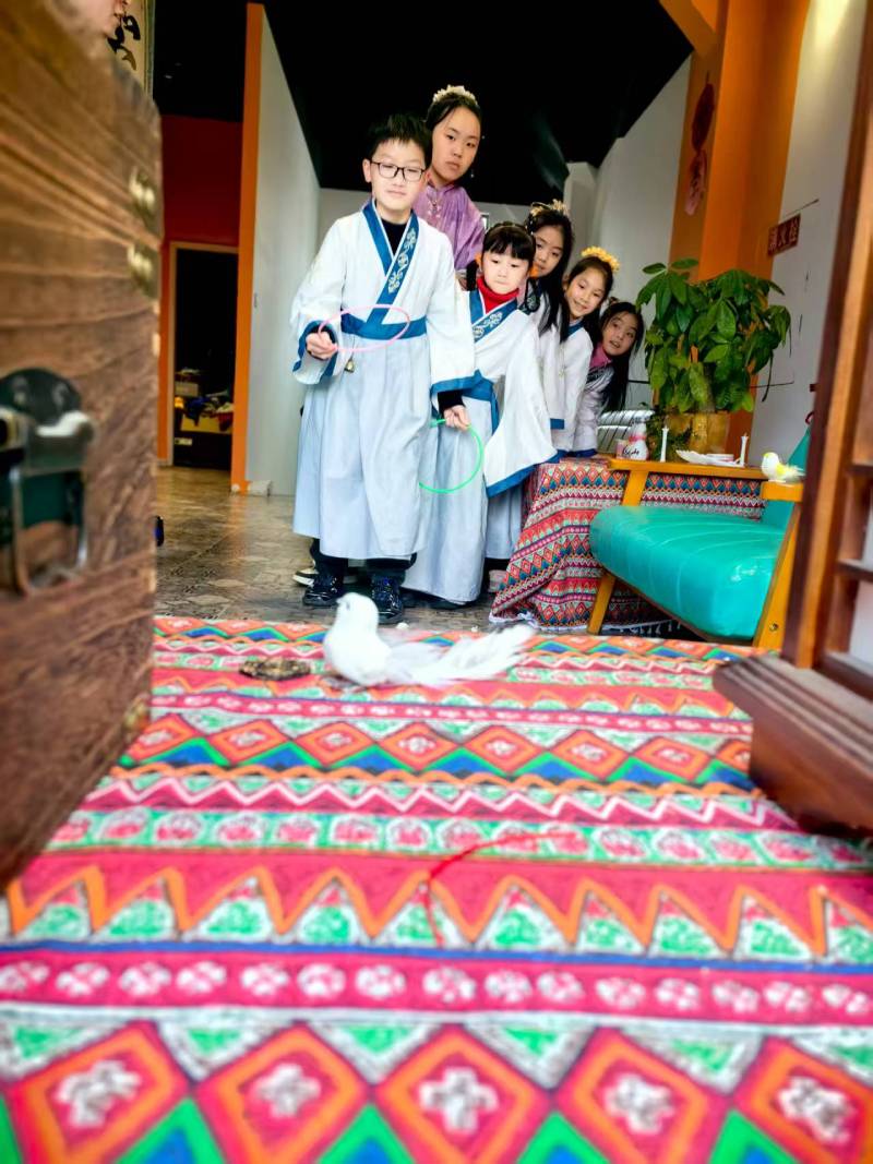 宏伟区活动策划